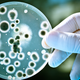 Illustration for article titled Gassy Alaskan Microbes Are Warming Up the Planet